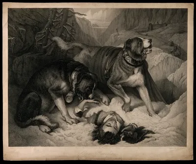 Two St. Bernard dogs with an avalanche victim, one tries to revive him while the other alerts the rescue party. Stipple engraving by T. Landseer after E. Landseer