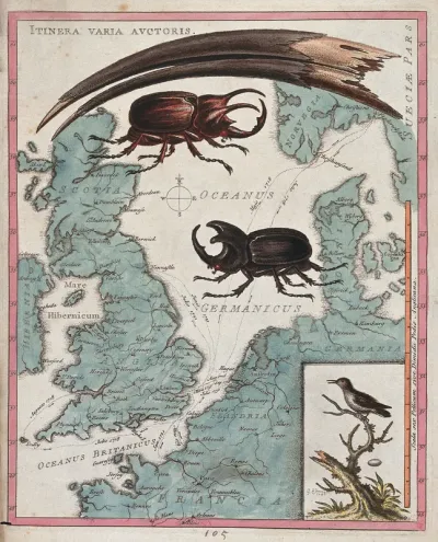 Two stag beetles crawling over a map of the world underneath a large mandible