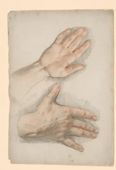 Two Studies of a Right Hand