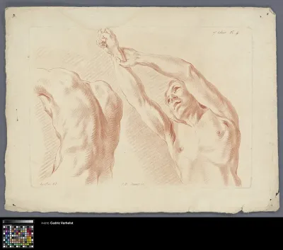 Two torsos