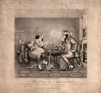 Two women sit at a table drinking tea and gossiping, so taken up with what they are saying that the tea is accidently poured on the cat