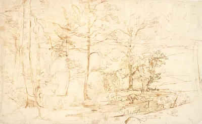 Udsigt fra en skov over hede og bakker