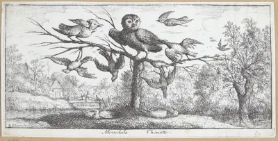 Uglen (Monedula)