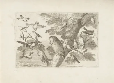 Uil en andere vogels in boom