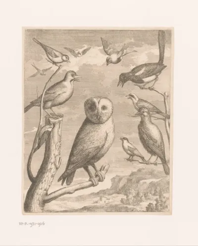 Uil en andere vogels