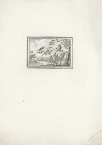 Uil en leeuwerik