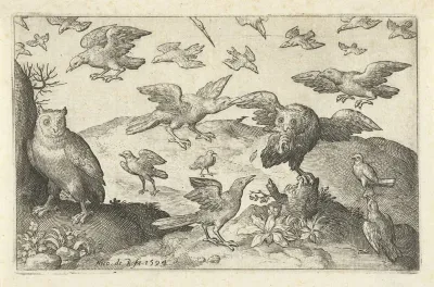 Uil met prooi belaagd door andere vogels