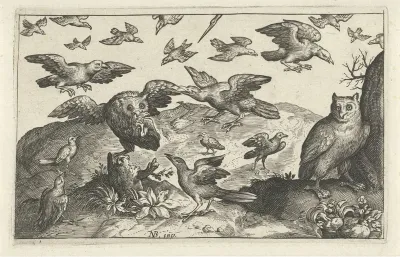 Uil met prooi belaagd door andere vogels