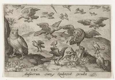 Uil met prooi belaagd door andere vogels