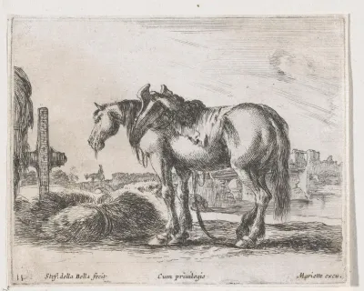 Uitgespannen paard