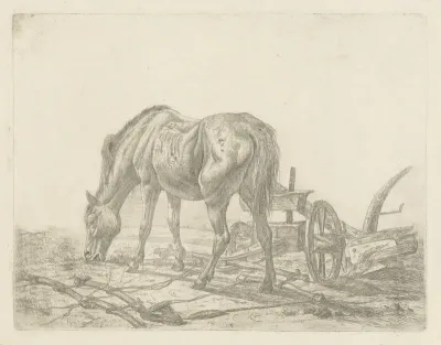 Uitgespannen paard bij een ploeg