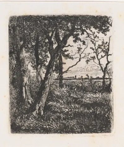 Uitgestrekt landschap met bomen