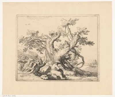 Uitzicht met knoestige boom