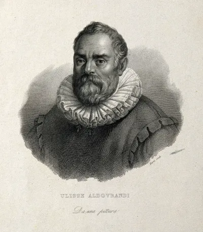 Ulisse Aldrovandi