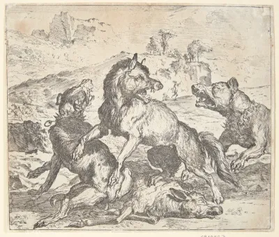 Ulv angrebet af to hunde