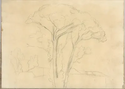 Umbrella pines and buildings, at Rome (Smaller Italian sketchbook, leaf 26 recto)