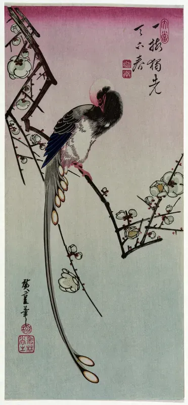 Ume ni Onagadori