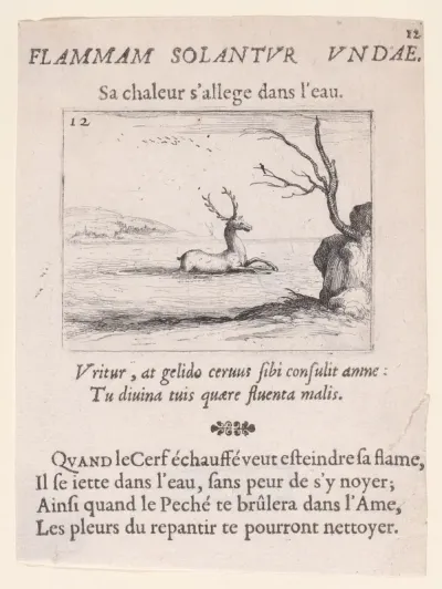 Un Cerf dans l'Eau (A Deer in the Water), plate 12 from "Lux Claustri ou La Lumière du Cloitre" (The Light of the Cloisters)