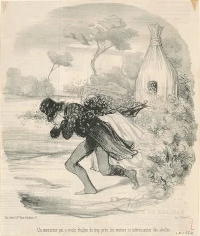 Un monsieur qui voulu étudier ... les moeurs ... des abeilles