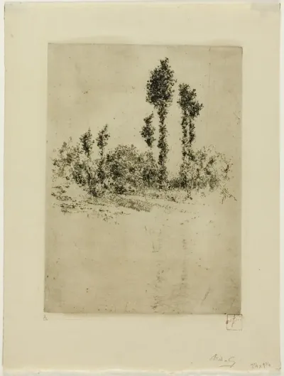 Unfinished Landscape