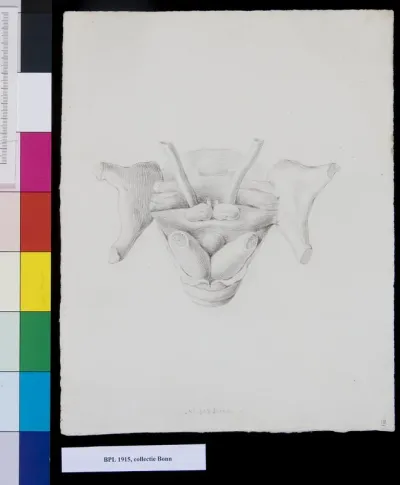 Unidentified bones