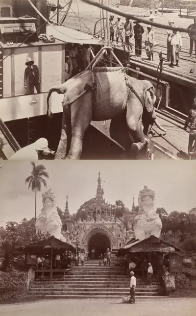 Untitled: (elephant being loaded onto a ship, recto); (steps and building, verso)