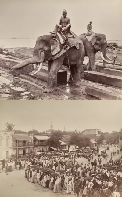 Untitled: (elephants moving blocks of wood, recto); (procession or crowd, verso)