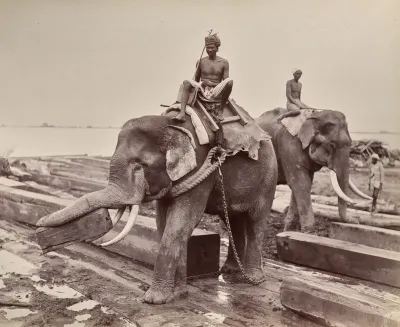 Untitled (elephants moving blocks of wood) (recto)