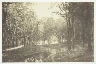 Untitled, from the series Bois de Boulogne"
