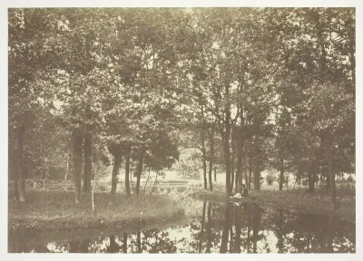 Untitled, from the series "Bois de Boulogne"