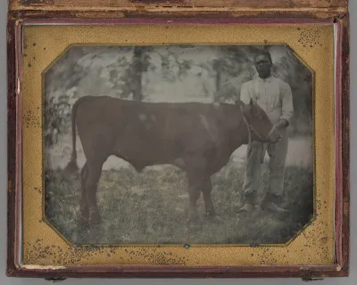 Untitled (Portrait of a Standing Man with a Steer)