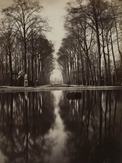 Untitled (Versailles)