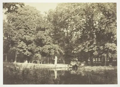 Untitledprint, from the series "Bois de Boulogne"