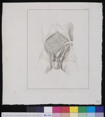 Urinal tract