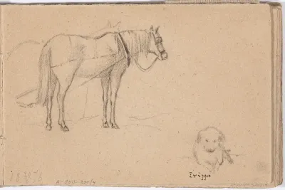 Valjastetty hevonen ; koira, Sjundby. Merkitty 18 20/8 76 Erippa