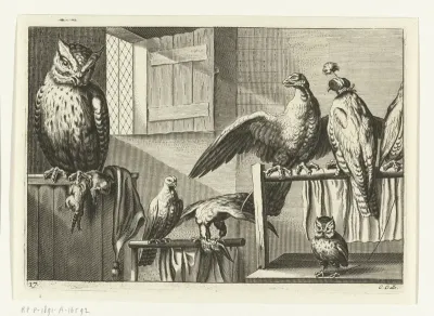 Valken en uilen in een schuur