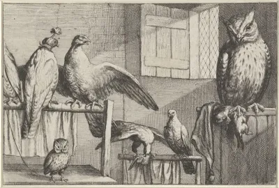Valken en uilen in een schuur