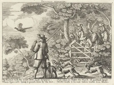Valkenjacht op fazanten