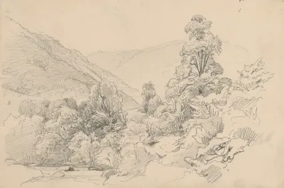 Valley with a Brook