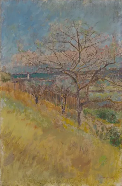 Valley with Trees in Bloom