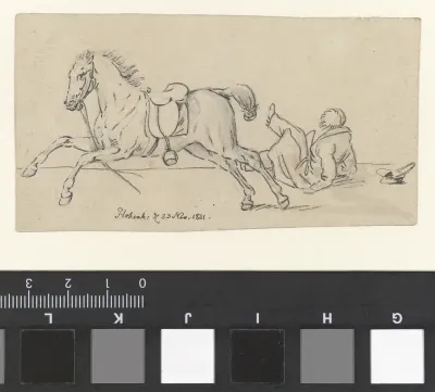 Van een paard gevallen man