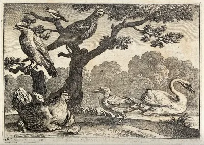 Various birds: a swan on the water, a hen and chicks on the ground and others perched in a tree