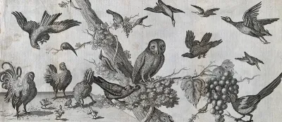 Various birds: chickens on the ground; an owl, magpie and woodpecker on a tree; ducks and eagles in the air