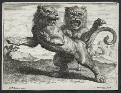Various Lions