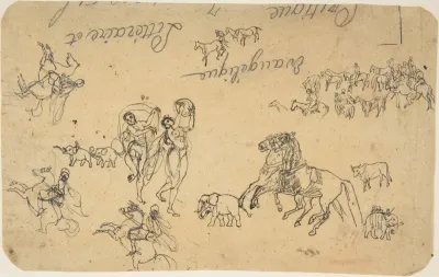 Various Studies