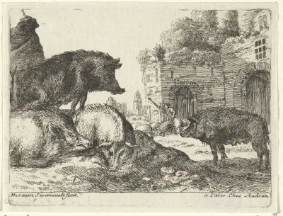 Varkens