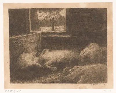Varkens in een stal