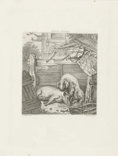 Varkenskot met twee varkens