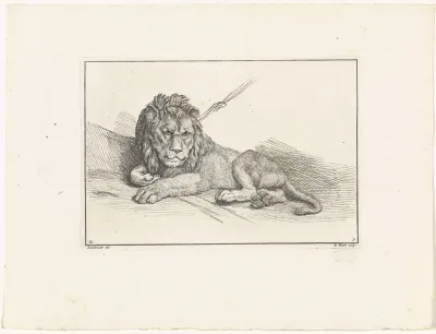 Vastgebonden leeuw