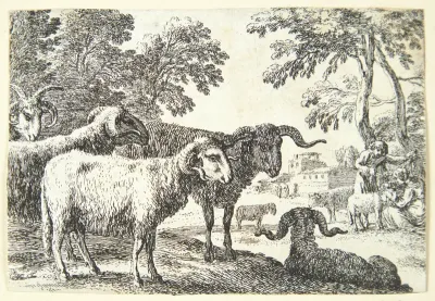 Væddere